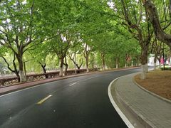 -中国浦东干部学院