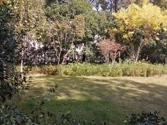 -嘉定紫藤园