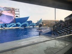 -上海海昌海洋公园