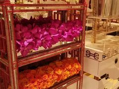 -咖啡苑 - 蔚藍夏日限定主题(永利皇宫店)
