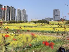 -光明小镇欢乐田园