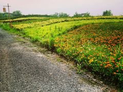android_upload_pic-梁鸿国家湿地公园