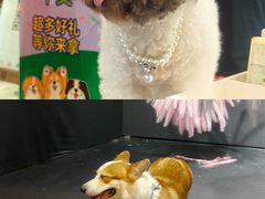 -南宁国际会展中心