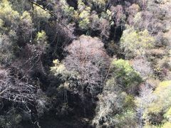 -叠溪松坪沟景区