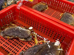 -79号渔船海鲜饭店(宝安店)