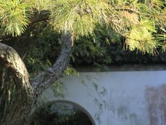 -秋霞圃