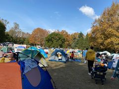 -共青国家森林公园-南大门停车场