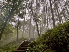 -洛阳白云山景区