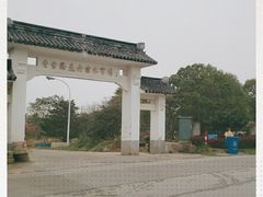 -香雪海