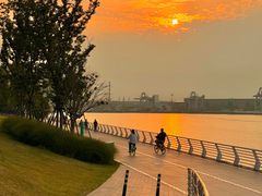 -南汇嘴观海公园