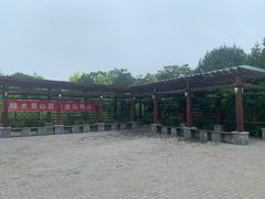 -大兴滨河森林公园