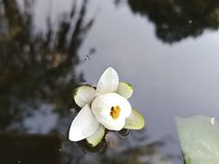 -西安浐灞国家湿地公园