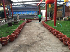 iphone_upload_pic-爱新觉罗皇家博物院