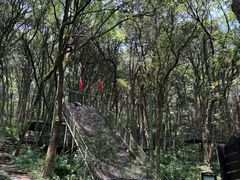 -富春桃源风景区