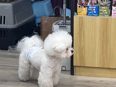 -萌小它宠物健康管理中心(怡海家园店)