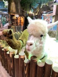 -宝燕乐园(闵行旗舰店)