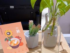 -炖物24章·顺时轻养茶(黄龙店)