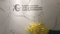 -潘多拉Hairsalon