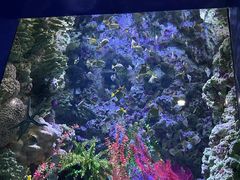 -海合安青岛极地海洋公园