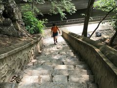 -北京上方山国家森林公园