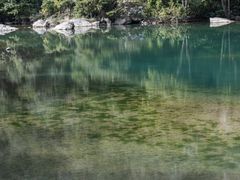 -龙湾潭国家森林公园