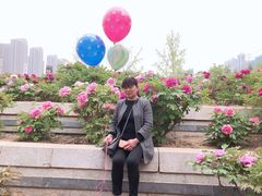 -曹州牡丹园