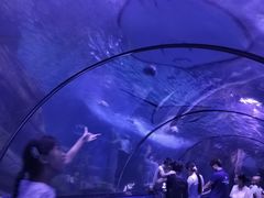 -蓬莱欧乐堡海洋极地世界