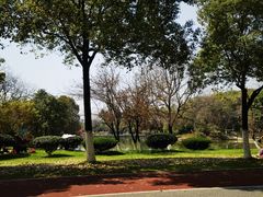 -艾溪湖湿地公园