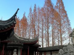 -吴兴寺