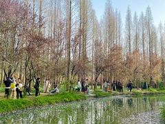 -洛阳市隋唐城遗址植物园