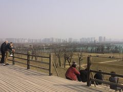 -汉长安城未央宫国家考古遗址公园