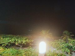 -渔家火锅·海鲜自助餐·演艺(亚龙湾天域酒店)