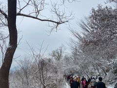 -紫金山山顶公园