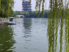 -济南大明湖景区