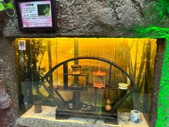 -上海大自然野生昆虫馆