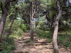 -高尔山公园