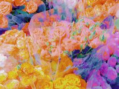 -循礼门鲜花花市(武汉循礼门店)