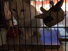 -赢吧Bliss音乐酒吧