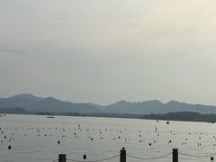 -杭州湖滨in77