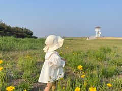 -青岛银沙滩