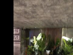 -神府路壹号·海鲜烧烤排档(三坊七巷店)