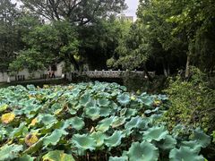 -水绘园