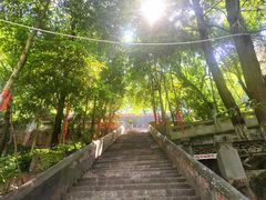-成都老君山