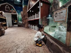 -宝燕乐园(闵行旗舰店)