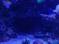 -太平洋海底世界