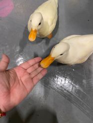 -Zoolung Zoolung动物主题公园(海信广场店)