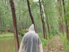 -合肥滨湖国家森林公园