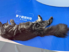 -PO PARK东方宝泰