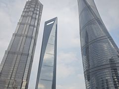 -武夷星茶业(上海环球金融中心店)