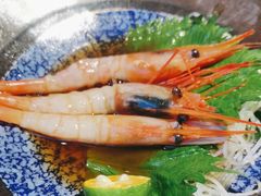 -人间酒暖·Go blanc·烧鸟·深夜食堂(陆家嘴店)